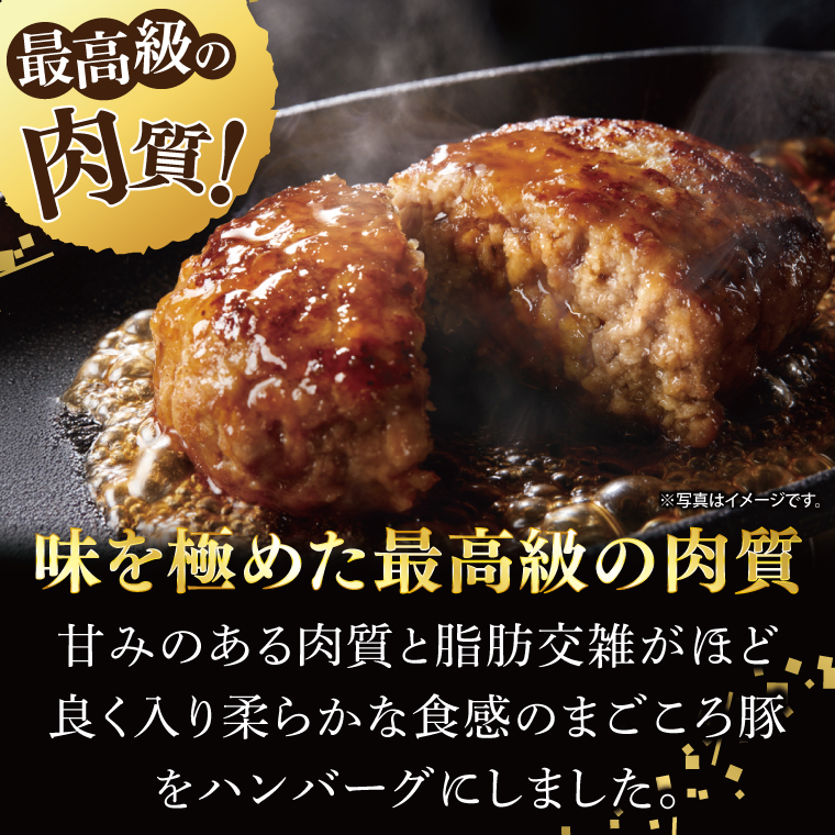 【茨城県共通返礼品】国産まごころ豚ハンバーグ200g×10個【高品質 豚肉 銘柄豚 ブランド豚 人気豚肉 個包装 冷凍 茨城県産 阿見町】(92-02)