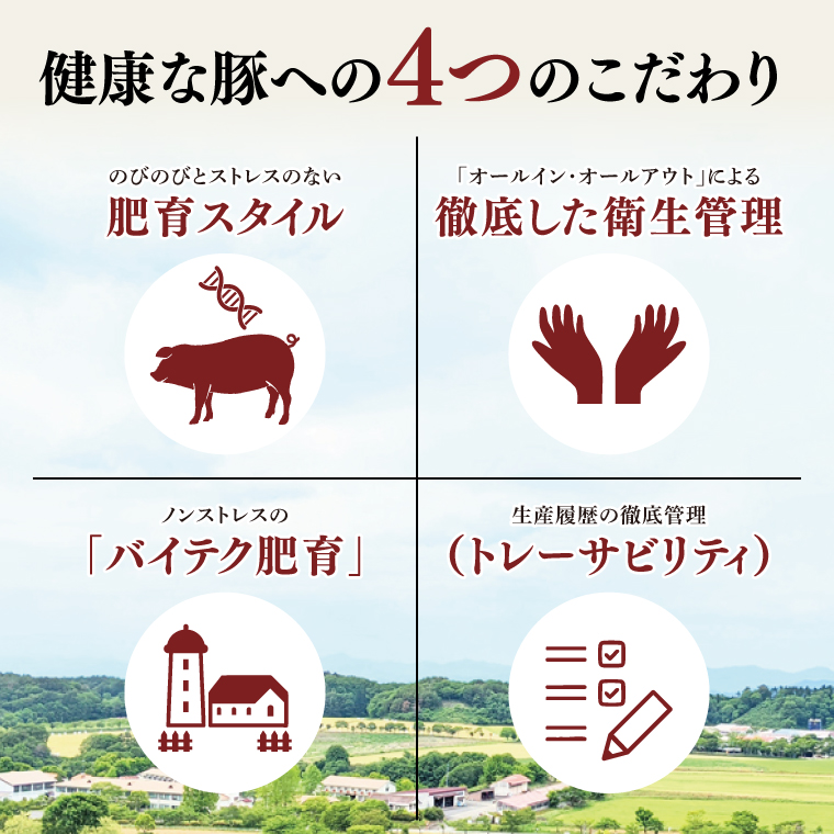 【茨城県共通返礼品】国産まごころ豚ハンバーグ200g×10個【高品質 豚肉 銘柄豚 ブランド豚 人気豚肉 個包装 冷凍 茨城県産 阿見町】(92-02)