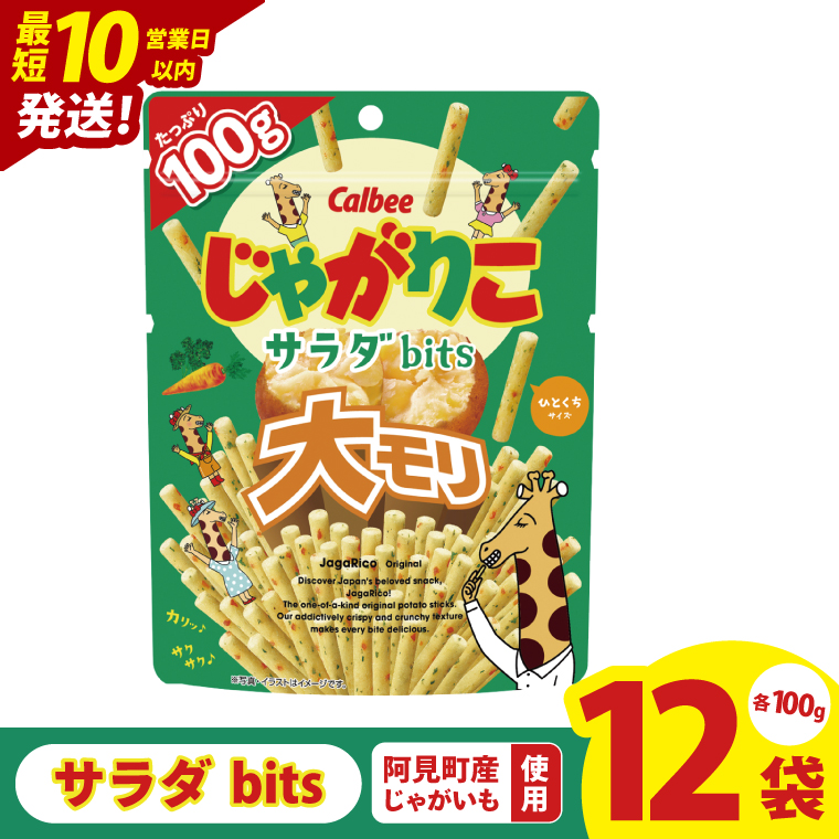 【10営業日以内に出荷】カルビー じゃがりこサラダ bits 大モリ（100g）×12個｜Calbee お菓子 菓子 おやつ おかし ぽてち ポテチ スナック おつまみ ジャガイモ じゃがいも（93-52）