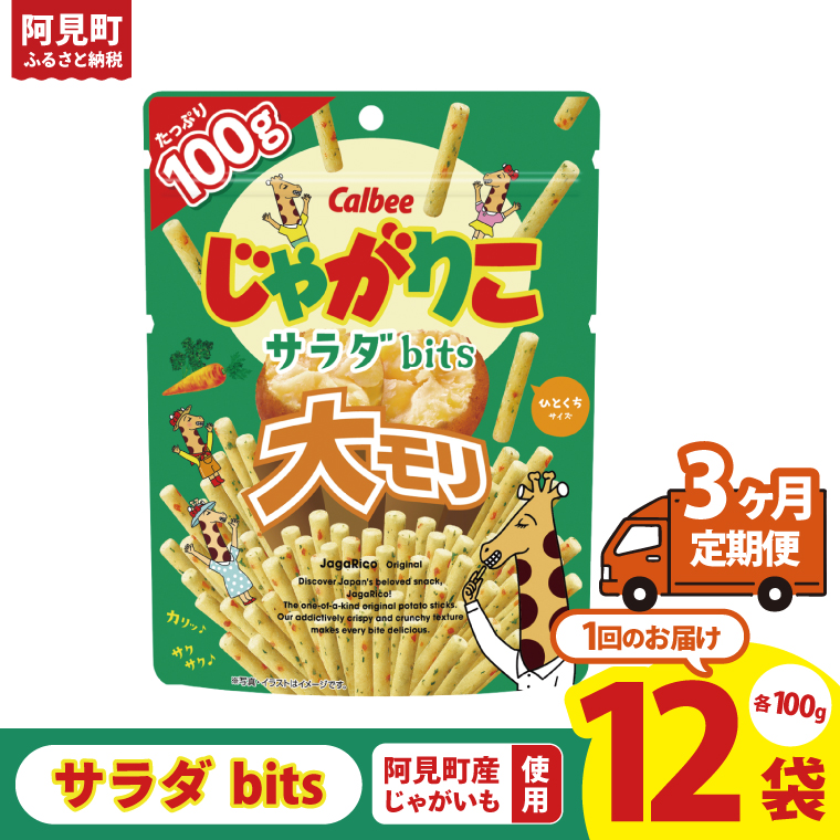 【3ヶ月定期便】カルビー じゃがりこサラダ bits 大モリ（100g）×12個｜Calbee お菓子 菓子 おやつ おかし ぽてち ポテチ スナック おつまみ ジャガイモ じゃがいも（93-53）