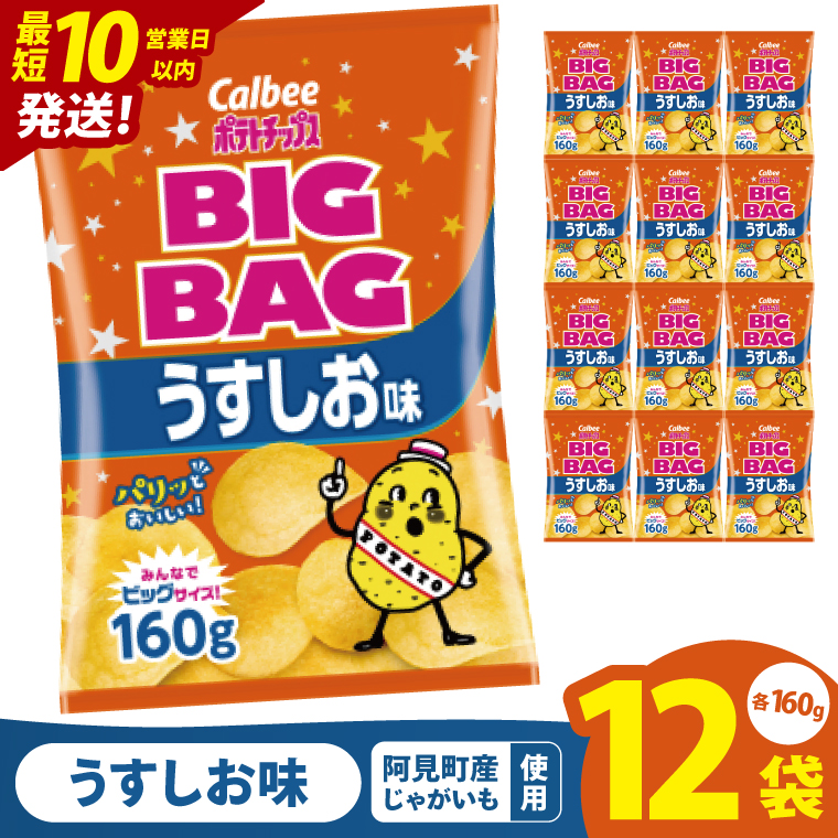【10営業日以内に出荷】カルビー ポテトチップス うすしお味 BIGBAG（160g）×12個｜Calbee お菓子 菓子 おやつ おかし ぽてち ポテチ スナック おつまみ ジャガイモ じゃがいも（93-55）