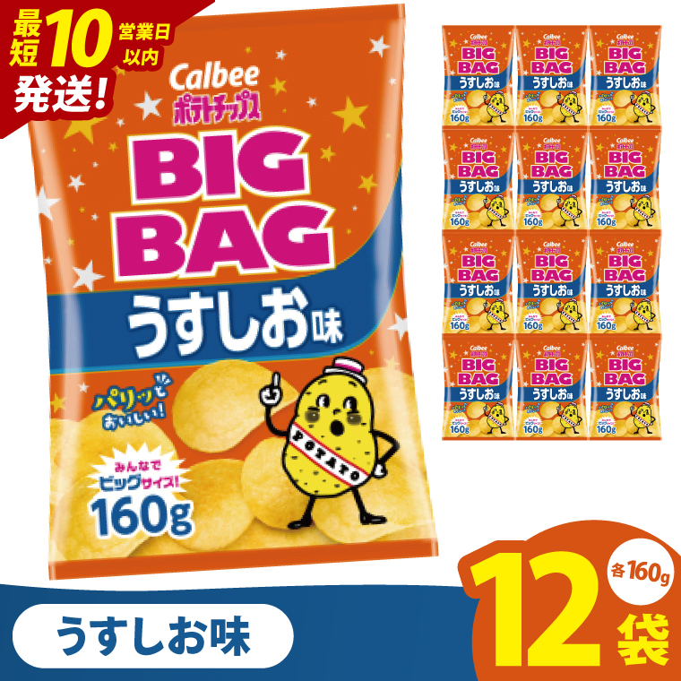 【10営業日以内に出荷】カルビー ポテトチップス うすしお味 BIGBAG（160g）×12個｜Calbee お菓子 菓子 おやつ おかし ぽてち ポテチ スナック おつまみ ジャガイモ じゃがいも（93-55）