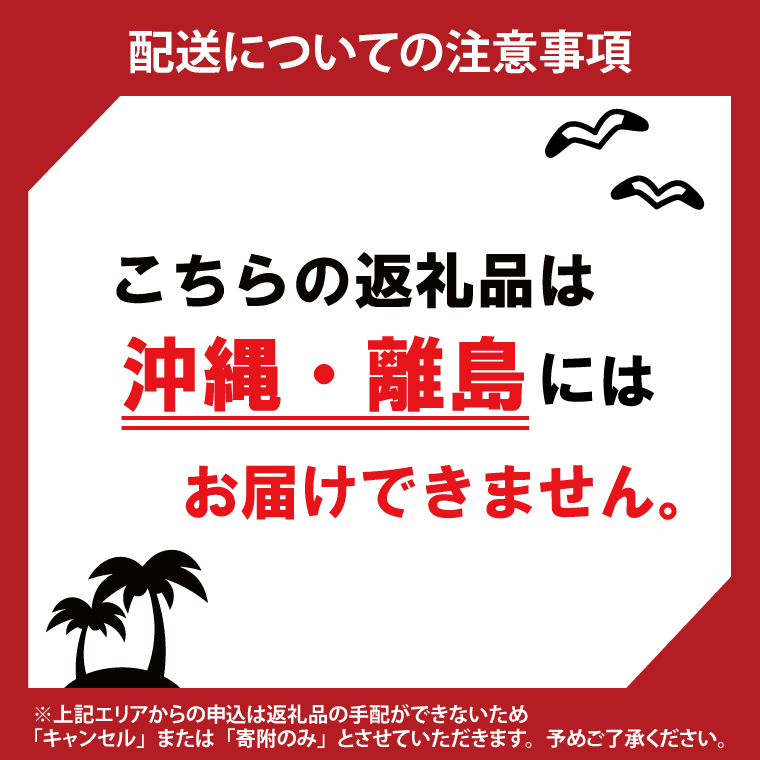 【10営業日以内に出荷】カルビー ポテトチップス うすしお味 BIGBAG（160g）×12個｜Calbee お菓子 菓子 おやつ おかし ぽてち ポテチ スナック おつまみ ジャガイモ じゃがいも（93-55）