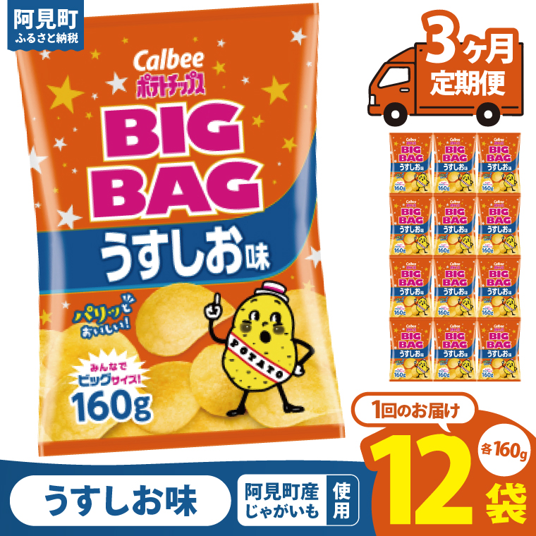 【3ヶ月定期便】カルビー ポテトチップス うすしお味 BIGBAG（160g）×12個｜Calbee お菓子 菓子 おやつ おかし ぽてち ポテチ スナック おつまみ ジャガイモ じゃがいも（93-56）