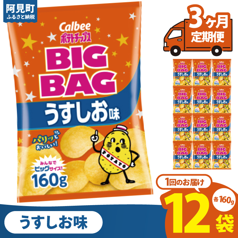【3ヶ月定期便】カルビー ポテトチップス うすしお味 BIGBAG（160g）×12個｜Calbee お菓子 菓子 おやつ おかし ぽてち ポテチ スナック おつまみ ジャガイモ じゃがいも（93-56）