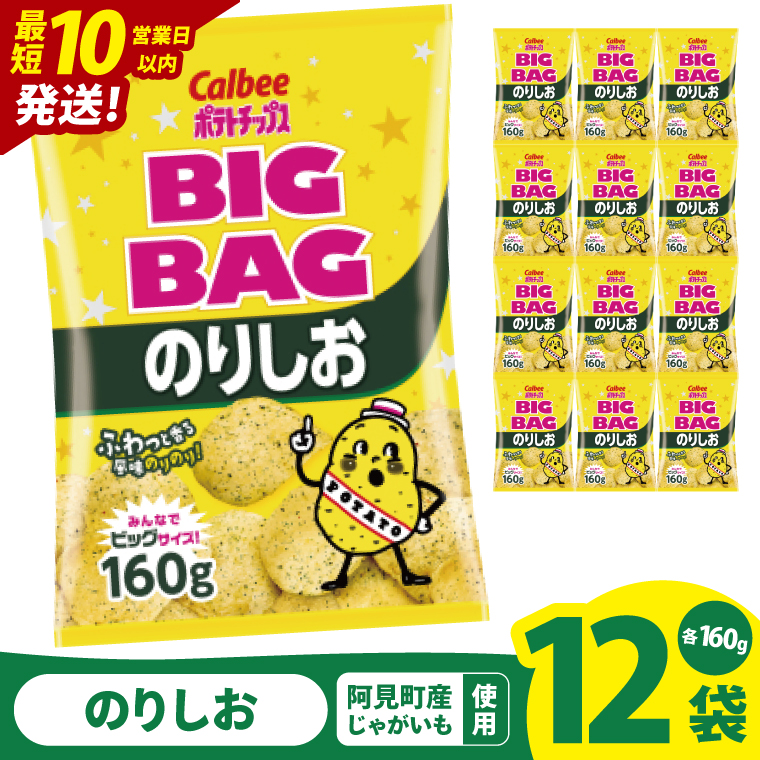【10営業日以内に出荷】カルビー ポテトチップス のりしお BIGBAG（160g）×12個｜Calbee お菓子 菓子 おやつ おかし ぽてち ポテチ スナック おつまみ ジャガイモ じゃがいも（93-61）