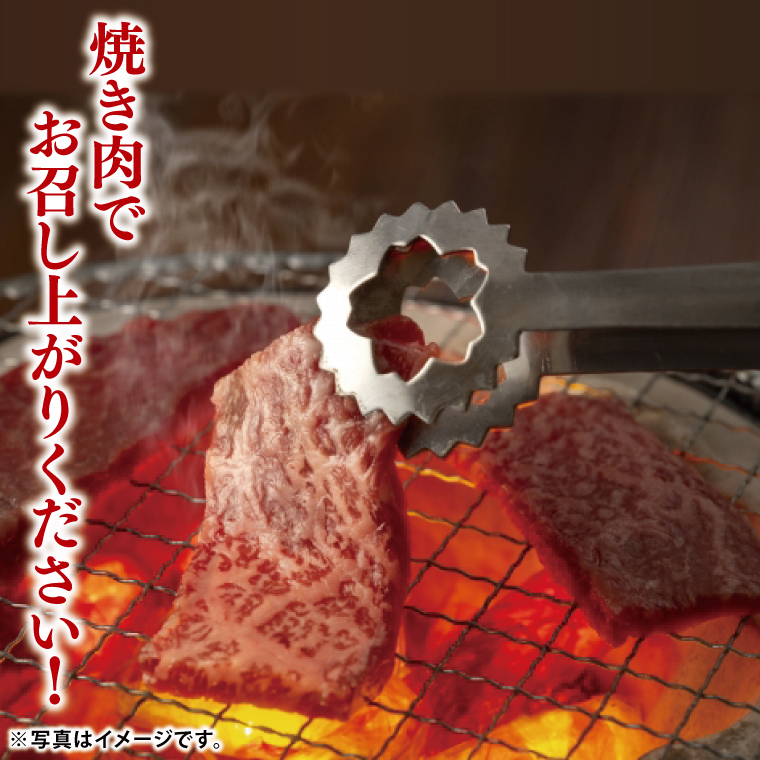 03-41 茨城県銘柄黒毛和牛常陸牛肩ロース焼肉用約500g【ブランド牛 牛肉 黒毛和牛 ひたちぎゅう 良質 霜降り 冷凍 茨城県 阿見町】