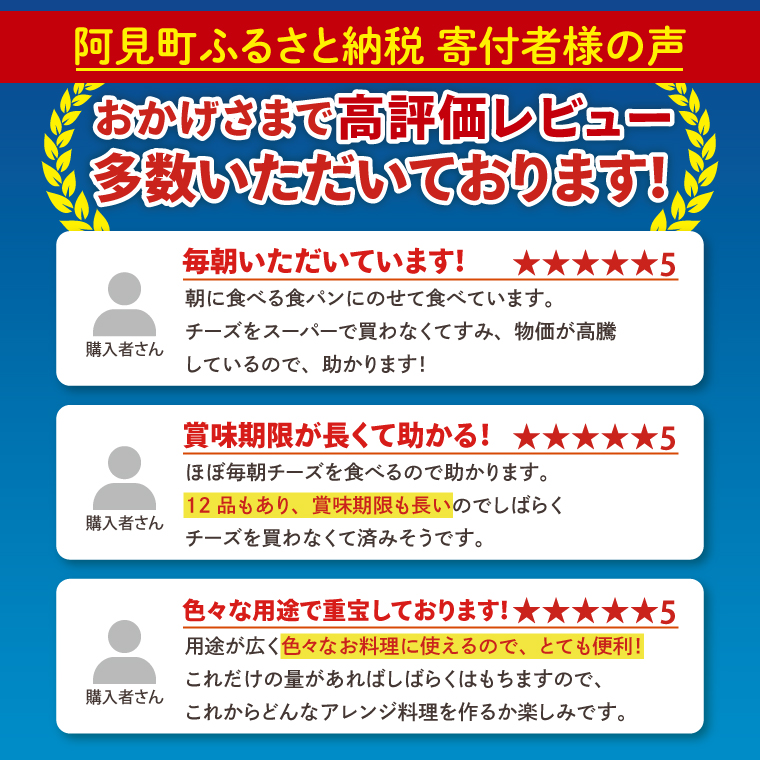 雪印メグミルク スライスチーズ詰め合わせセット(12品)【チーズ スライスチーズ クリームチーズ 粉チーズ カルシウム 鉄分】(02-06)