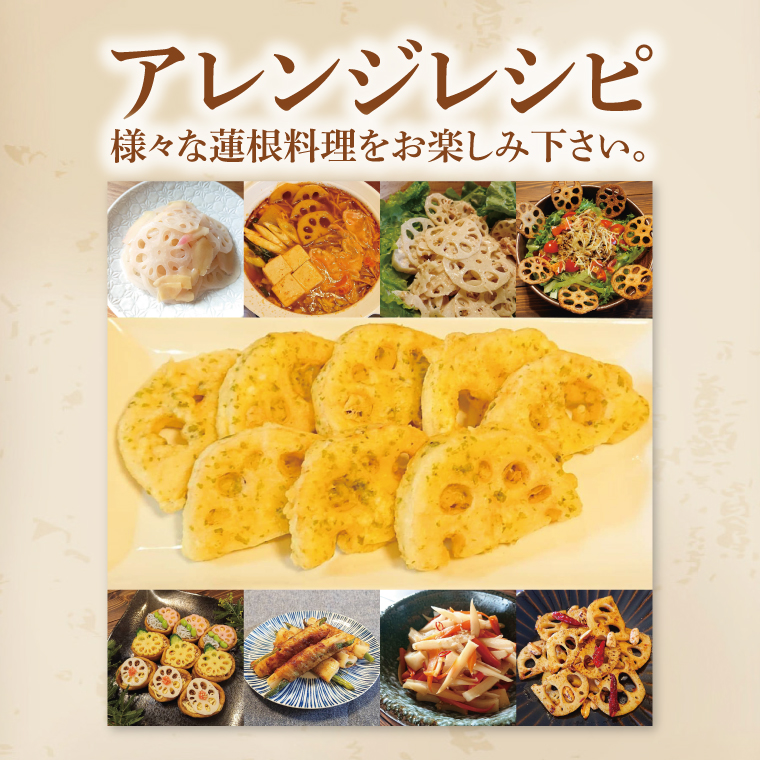 【特選】ふなしま蓮根（2kg箱）| 老舗産地 レンコン 希少品種 れんこん 柔らかい 産地直送（82-02）