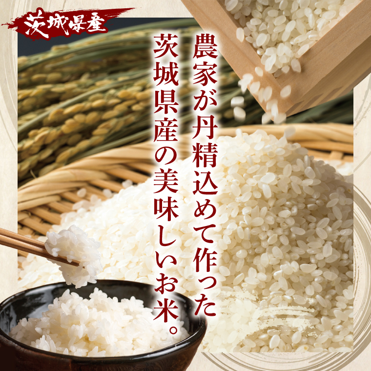 茨城県産 コシヒカリ 精米 5kg ×2 (10kg) | 令和7年産 新米 美味しい 茨城県産米（94-02）