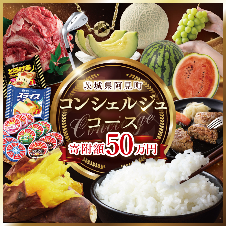 【提案型】コンシェルジュコース(50万円)（000-10）