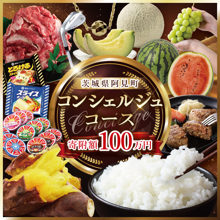 【提案型】コンシェルジュコース(100万円)（000-12）