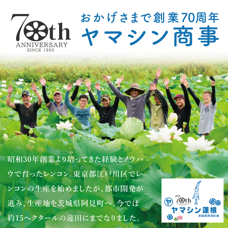 ヤマシン蓮根　１kg|レンコン  食物繊維 新鮮 シャキシャキ  茨城県 阿見町（98-02）