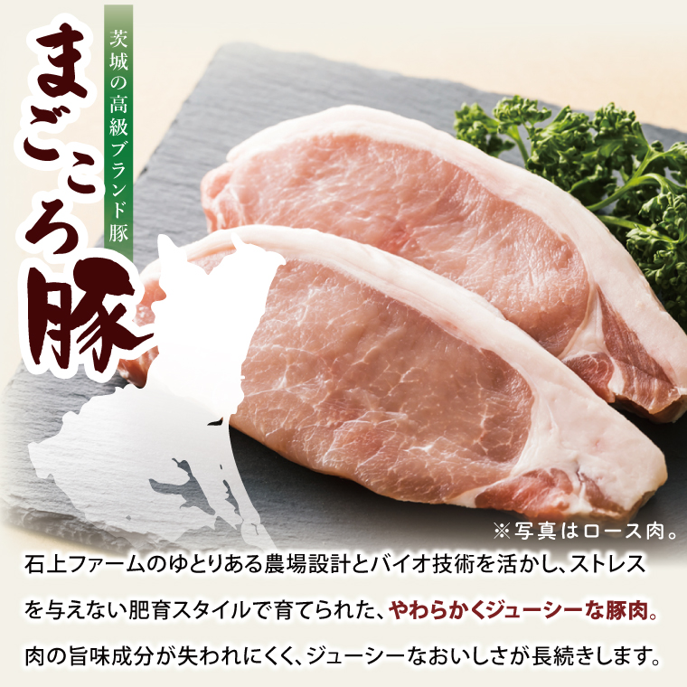 【茨城県共通返礼品/鉾田市】国産まごころ豚ローススライス250ｇ×4Ｐ | 甘い おいしい 良品質 最上級 茨城県産(92-03)