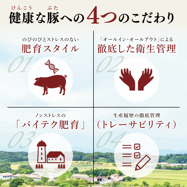 【茨城県共通返礼品/鉾田市】国産まごころ豚バラスライス1.0kg(250ｇ×4) | 甘い おいしい 良品質 最上級 茨城県産(92-05)