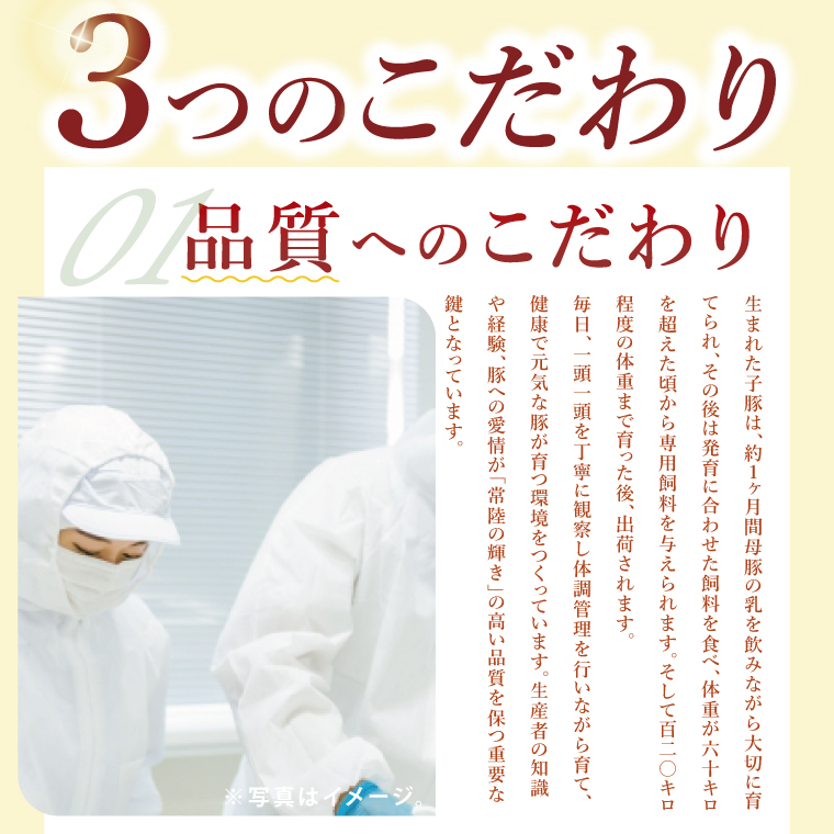【茨城県共通返礼品/鉾田市】国産常陸の輝き豚ロースブロック 1.0kg | 霜降り 柔らかい 高品質 茨城県産(92-10)