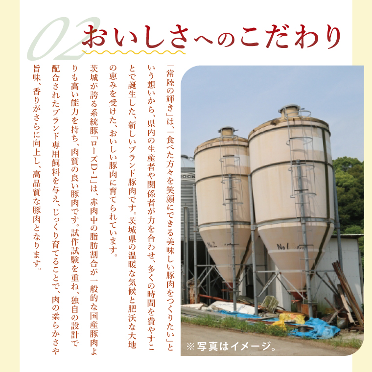 【茨城県共通返礼品/鉾田市】国産常陸の輝き豚ロースブロック 1.0kg | 霜降り 柔らかい 高品質 茨城県産(92-10)