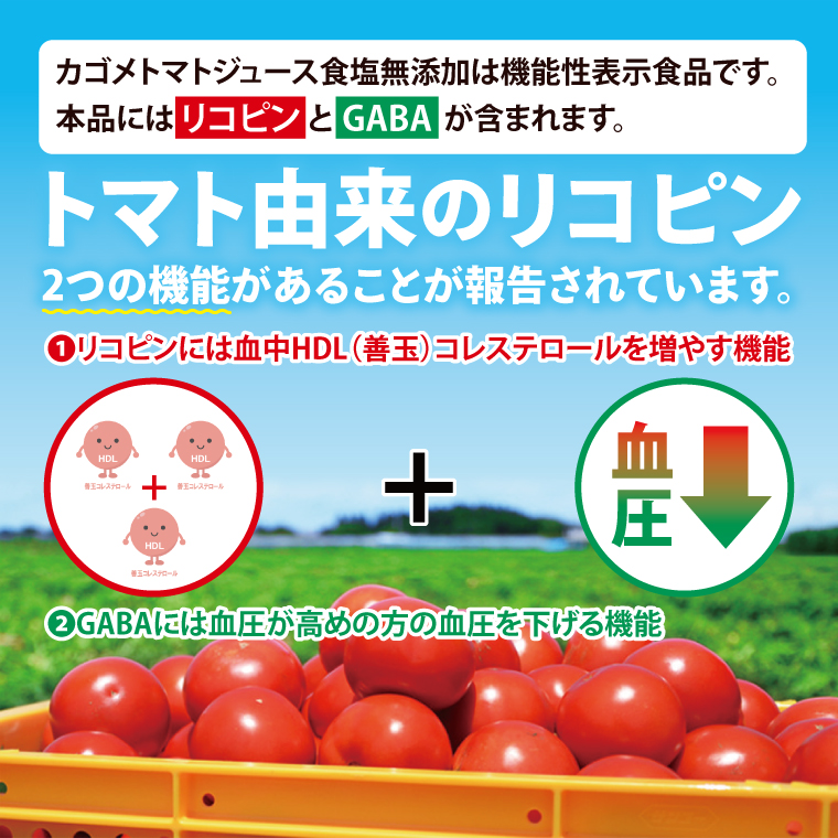 カゴメトマトジュース 食塩無添加 720ml×15個｜KAGOME とまと 野菜 リコピン GAVA 機能性表示食品（93-199）