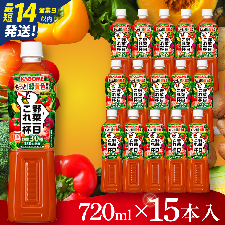 カゴメ野菜一日これ一杯 720ml×15本｜KAGOME 野菜 果実 おいしい 手軽 ジュース 飲料 野菜ジュース（93-214）