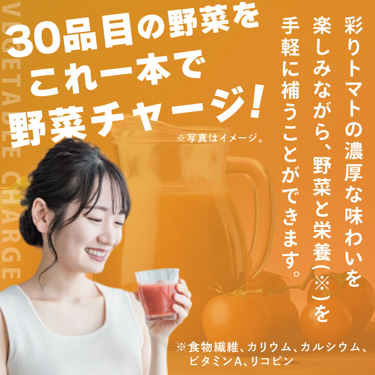 カゴメ野菜一日これ一杯 720ml×15本｜KAGOME 野菜 果実 おいしい 手軽 ジュース 飲料 野菜ジュース（93-214）