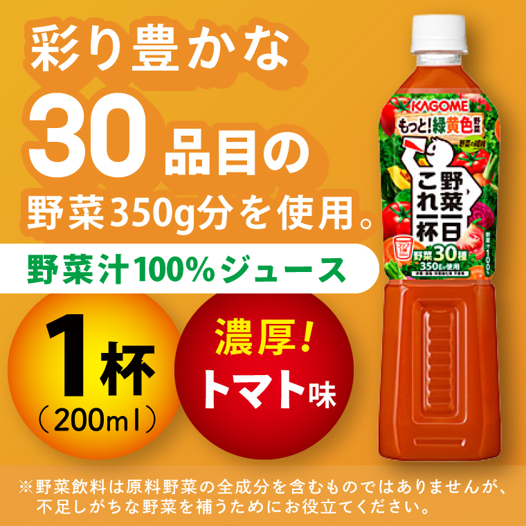 【3回定期便】カゴメ野菜一日これ一杯 720ml×15本｜KAGOME 野菜 果実 おいしい 手軽 ジュース 飲料 野菜ジュース（93-215）