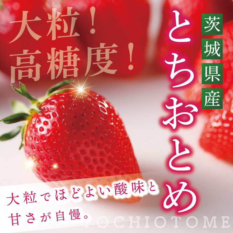 【先行予約12月下旬から発送】【茨城県共通返礼品/行方市産】JAなめがたしおさい直送「とちおとめ」1箱 (4パック入)【大粒 酸味 甘い 減農薬栽培 茨城県行方市】(96-01)