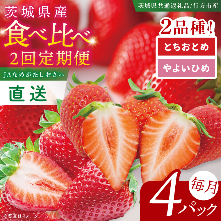 【先行予約2月から1回目発送】【茨城県共通返礼品/行方市産】食べ比べいちご・2回定期便「とちおとめ」「やよいひめ」(4パック入×2回)|甘い 苺 減農薬栽培 (96-03)