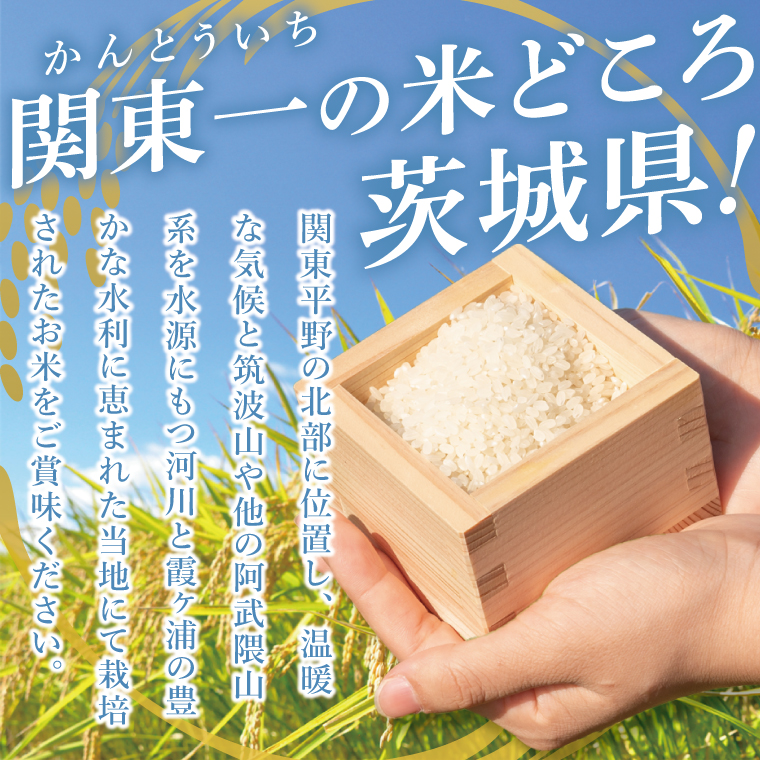 茨城県産にじのきらめき　精米　15kg｜精米 定期便 お米 米 こめ コメ ごはん 白米 阿見町 茨城県 茨城県産 茨城県産米 安心 安全 送料無料 国産 人気 数量限定 高評価（85-107）