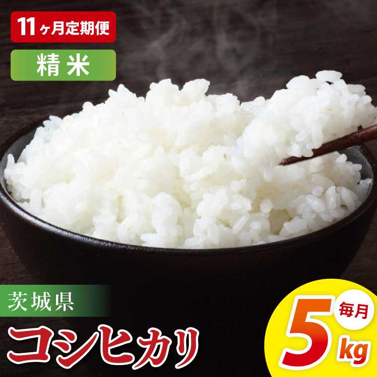 【11ヶ月定期便】茨城県産コシヒカリ　精米　5kg｜お米 米 ごはん 阿見町 茨城県 茨城県産 茨城県産米（85-101）