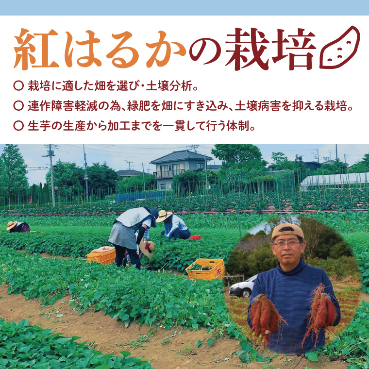 【3ヶ月定期便】茨城県阿見町産　冷凍焼き芋1.5kg【やきいも 焼き芋 焼芋 芋 冷凍 冷凍焼き芋 冷凍焼芋 冷凍食品 さつまいも 紅はるか 阿見町 茨城県】（04-33）