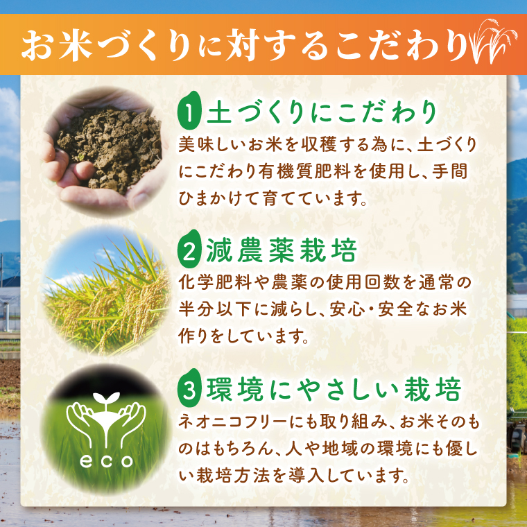 コシヒカリ玄米５kg 特栽米 ネオニコフリー｜こしひかり 安心 安全 有機肥料 特別栽培米 特別栽培認証 エコ農産物 茨城県産 茨城県産米(86-02)