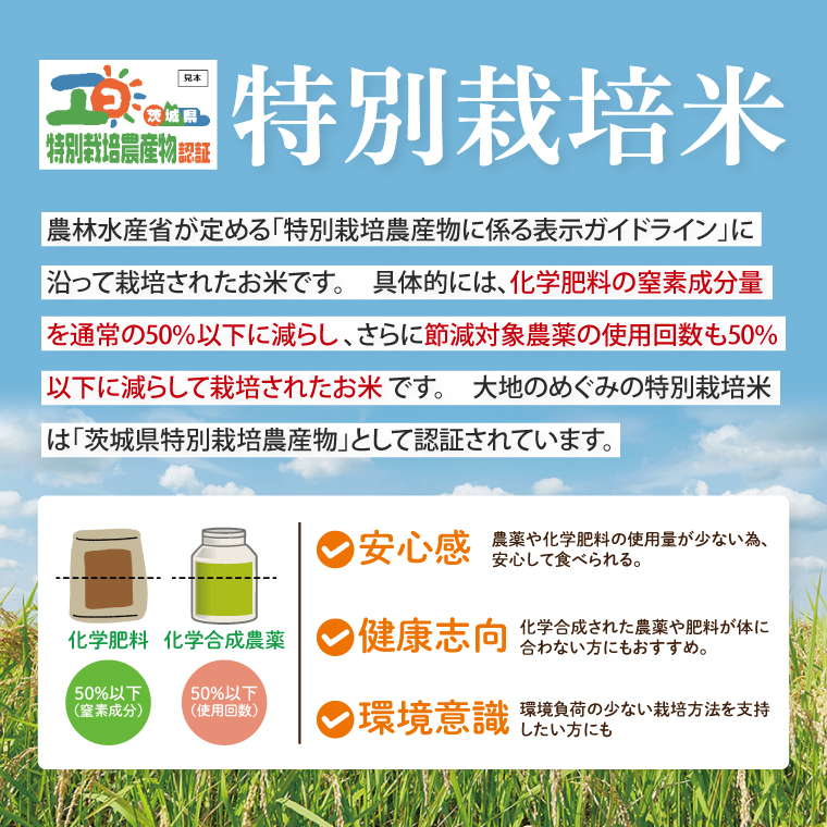 令和7年産 茨城県特別栽培認証 清明川コシヒカリ玄米 5kg×2袋【米 おこめ こしひかり  特別栽培米 農家直送 直送 茨城県 阿見町】（04-20-1）