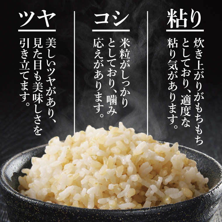 令和7年産 茨城県特別栽培認証 清明川コシヒカリ玄米 5kg×2袋【米 おこめ こしひかり  特別栽培米 農家直送 直送 茨城県 阿見町】（04-20-1）
