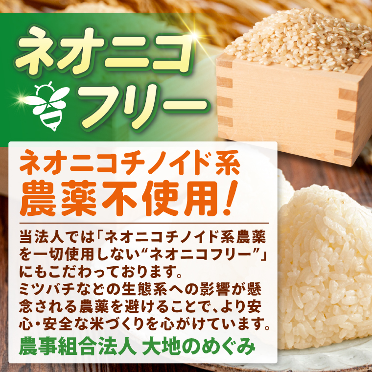 令和7年産 茨城県特別栽培米コシヒカリ ネオニコフリー玄米5kg｜米 おこめ こしひかり 農家直送 直送 茨城県 阿見町（04-30）