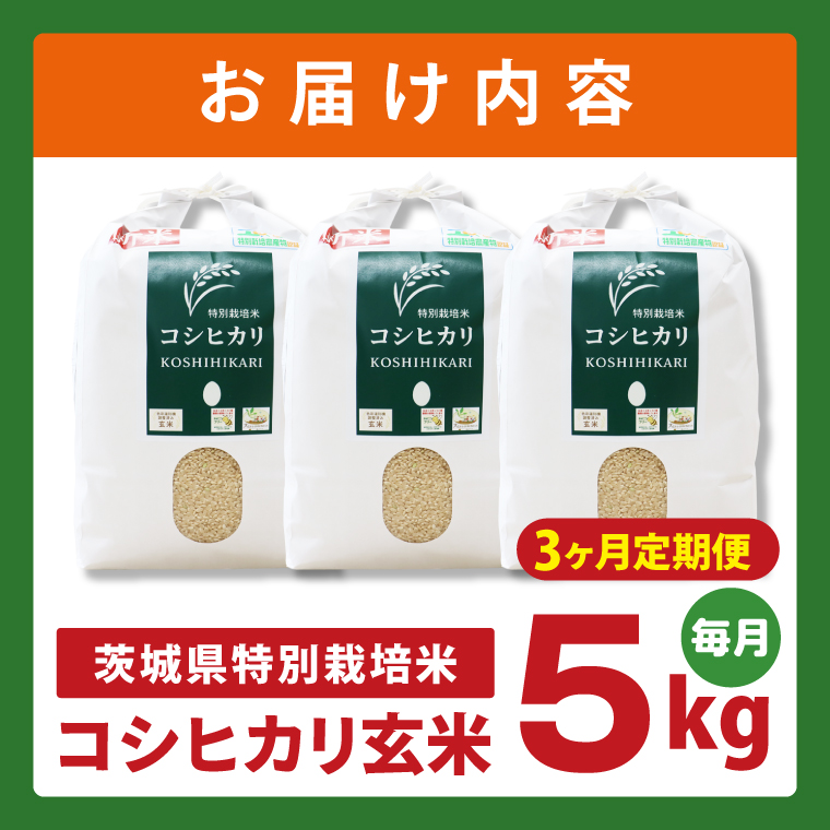 【3ヶ月定期便】令和7年産 茨城県特別栽培米コシヒカリ ネオニコフリー玄米5kg｜米 おこめ こしひかり 農家直送 直送 茨城県 阿見町（04-31）