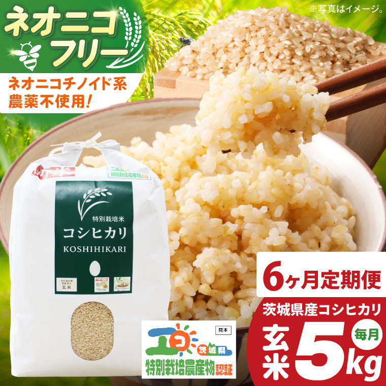 【6ヶ月定期便】令和7年産 茨城県特別栽培米コシヒカリ ネオニコフリー玄米5kg｜米 おこめ こしひかり 農家直送 直送 茨城県 阿見町（04-32）
