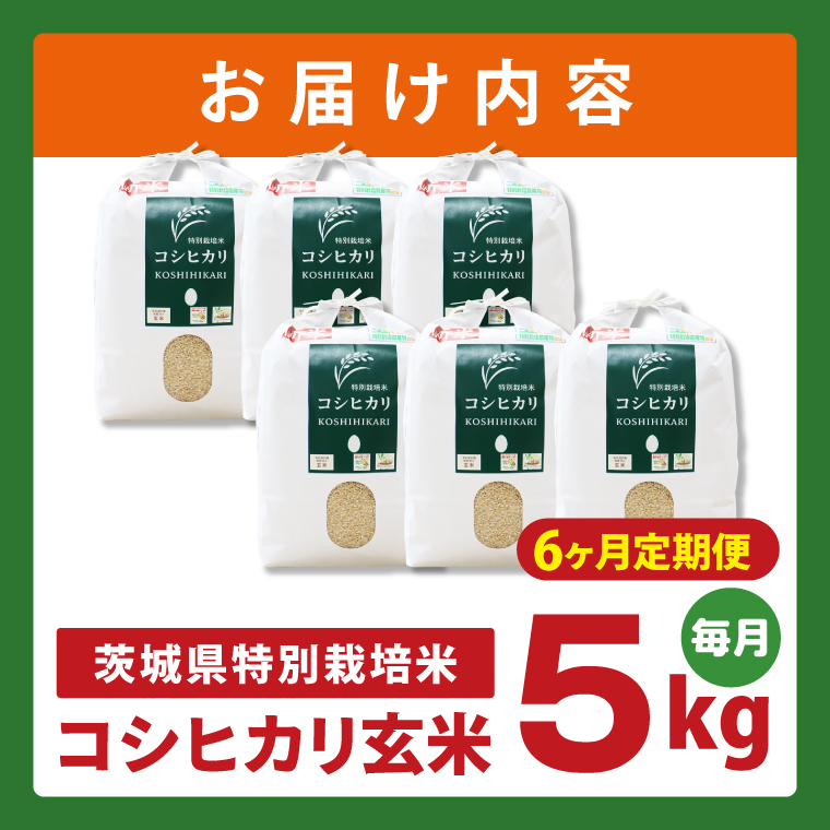 【6ヶ月定期便】令和7年産 茨城県特別栽培米コシヒカリ ネオニコフリー玄米5kg｜米 おこめ こしひかり 農家直送 直送 茨城県 阿見町（04-32）