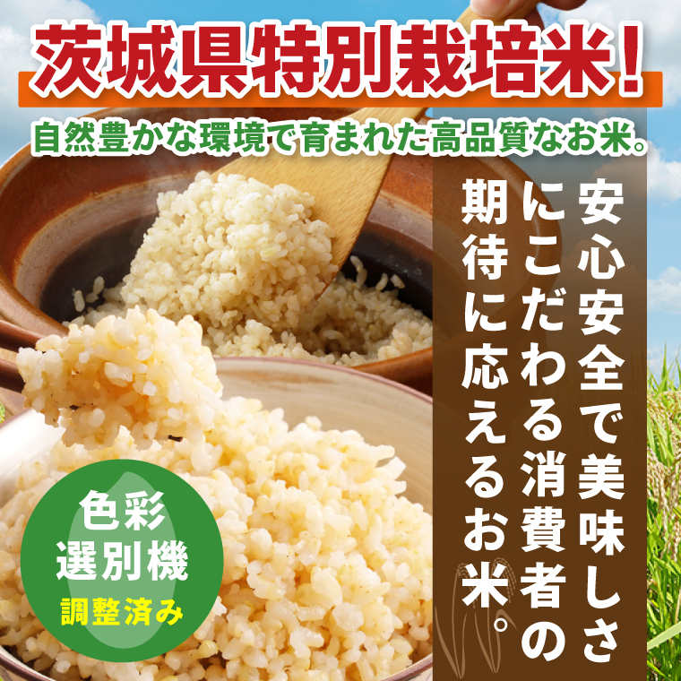 【6ヶ月定期便】令和7年産 茨城県特別栽培米コシヒカリ ネオニコフリー玄米5kg｜米 おこめ こしひかり 農家直送 直送 茨城県 阿見町（04-32）