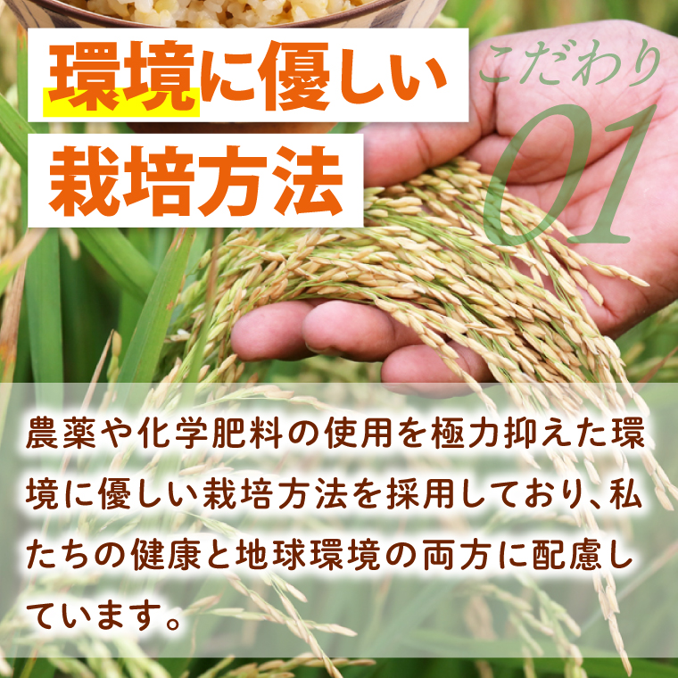 【6ヶ月定期便】令和7年産 茨城県特別栽培米コシヒカリ ネオニコフリー玄米5kg｜米 おこめ こしひかり 農家直送 直送 茨城県 阿見町（04-32）