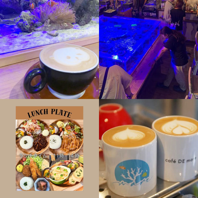 海のあるカフェ cafe DE mare 商品券（お食事券１枚 1100円分）｜コーヒー ドリンク 食事 生菓子 焼き菓子 大型水槽 海洋魚 隠れ家（97-01）