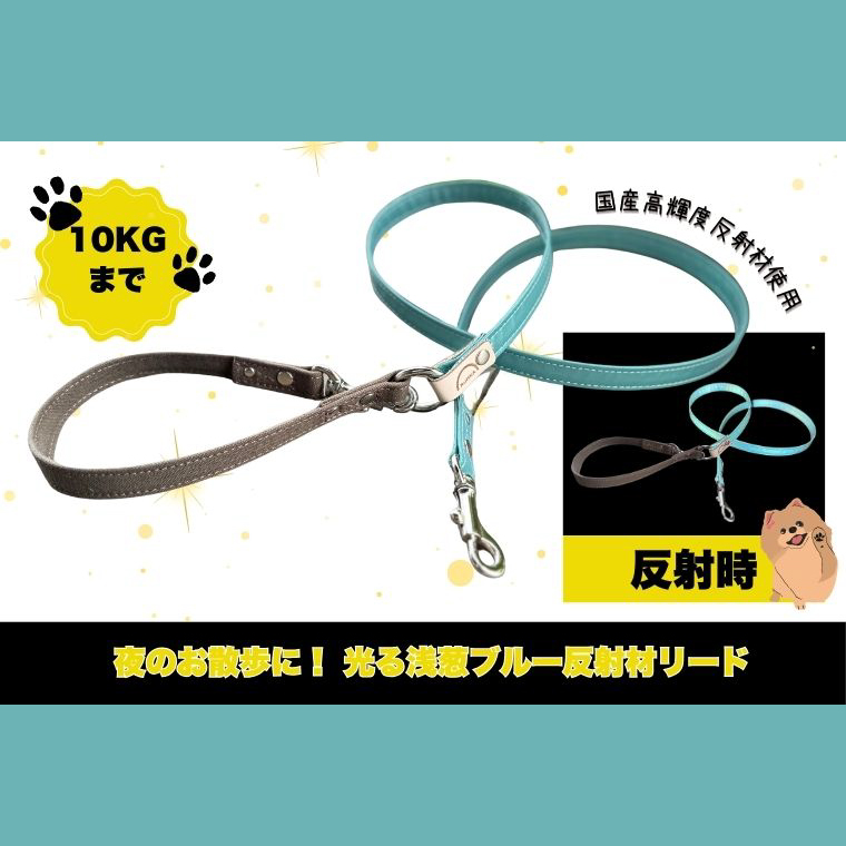 『ギラギラ・浅葱ブルー』犬用光るリード/特注高輝度反射材使用【小型犬用10キロまで】｜散歩 愛犬 夜散歩 阿見町 茨城県（40-31）