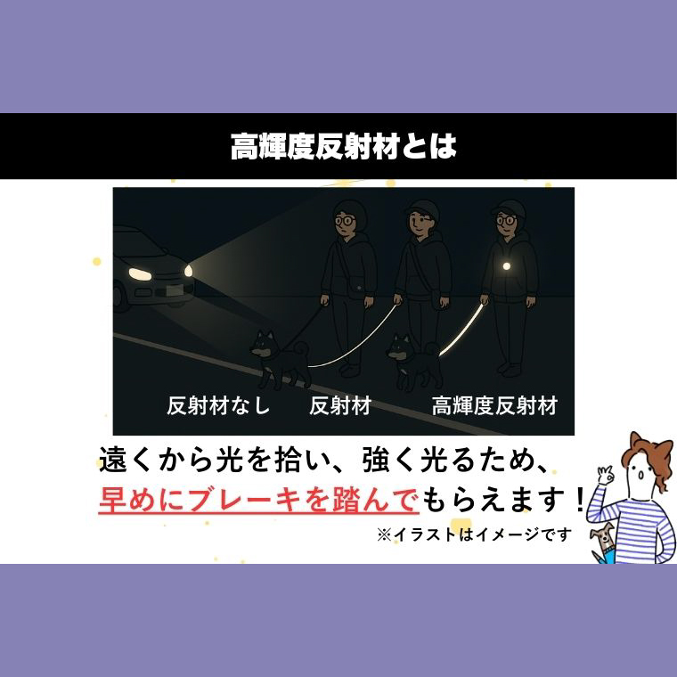 『すみれパープル』犬用光るリード/特注高輝度反射材使用【小型犬用10キロまで】｜散歩 愛犬 夜散歩 阿見町 茨城県（40-32）