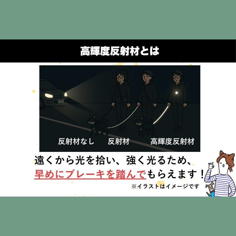 『ギラギラ・フォレストグリーン』犬用光るリード/特注高輝度反射材使用【小型犬用10キロまで】｜散歩 愛犬 夜散歩 阿見町 茨城県（40-35）