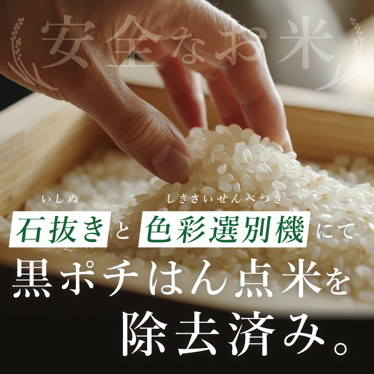 茨城県産にじのきらめき　精米　10kg｜精米 定期便 お米 米 こめ コメ ごはん 白米 阿見町 茨城県 茨城県産 茨城県産米 安心 安全 送料無料 国産 人気 数量限定 高評価（85-184）