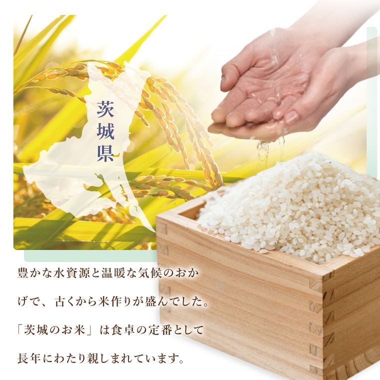 【4ヶ月定期便】茨城県産にじのきらめき　精米　10kg｜精米 定期便 お米 米 こめ コメ ごはん 白米 阿見町 茨城県 茨城県産 茨城県産米 安心 安全 送料無料 国産 人気 数量限定 高評価（85-187）