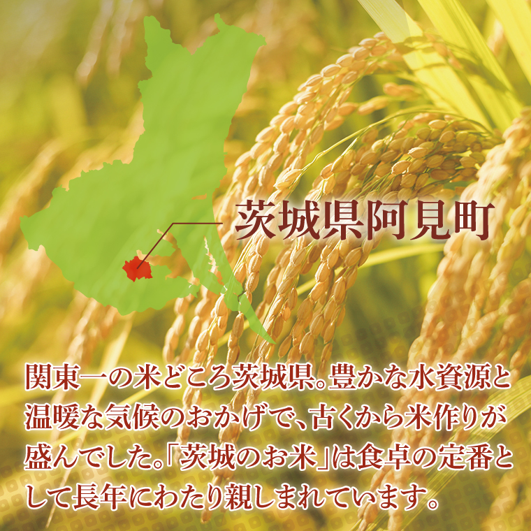 【12ヶ月定期便】阿見町産コシヒカリ　精米　10kg｜精米 定期便 お米 米 こめ コメ ごはん 白米 阿見町 茨城県 茨城県産 茨城県産米 安心 安全 送料無料 国産 人気 数量限定 高評価（85-138）