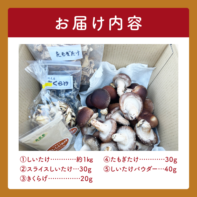 【先行予約】【10月発送】生しいたけ1kgと乾燥キノコセット｜椎茸 きくらげ キクラゲ しいたけパウダー（99-01）