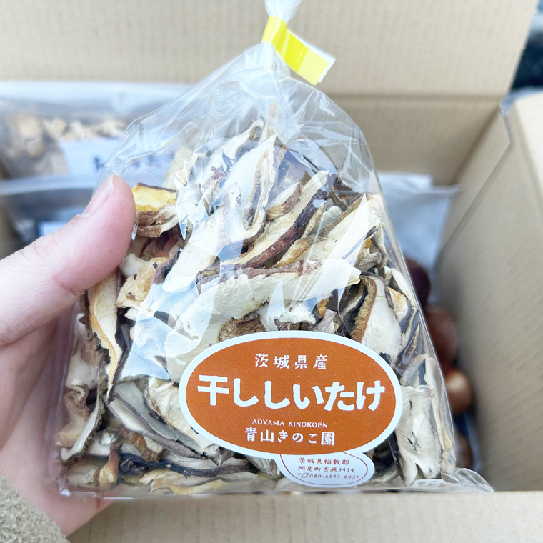 【先行予約】【10月発送】生しいたけ1kgと乾燥キノコセット｜椎茸 きくらげ キクラゲ しいたけパウダー（99-01）