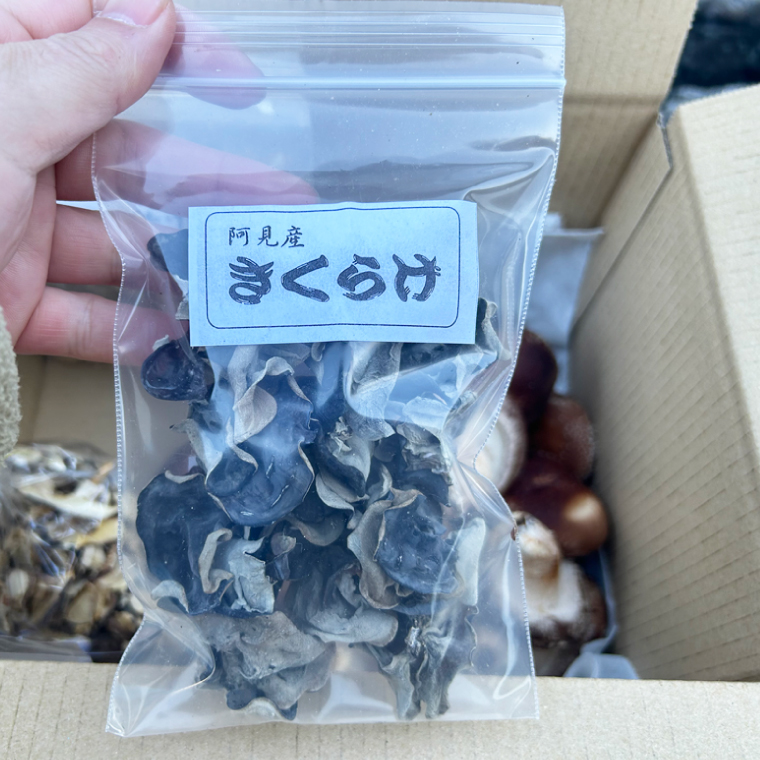 【先行予約】【10月発送】生しいたけ1kgと乾燥キノコセット｜椎茸 きくらげ キクラゲ しいたけパウダー（99-01）