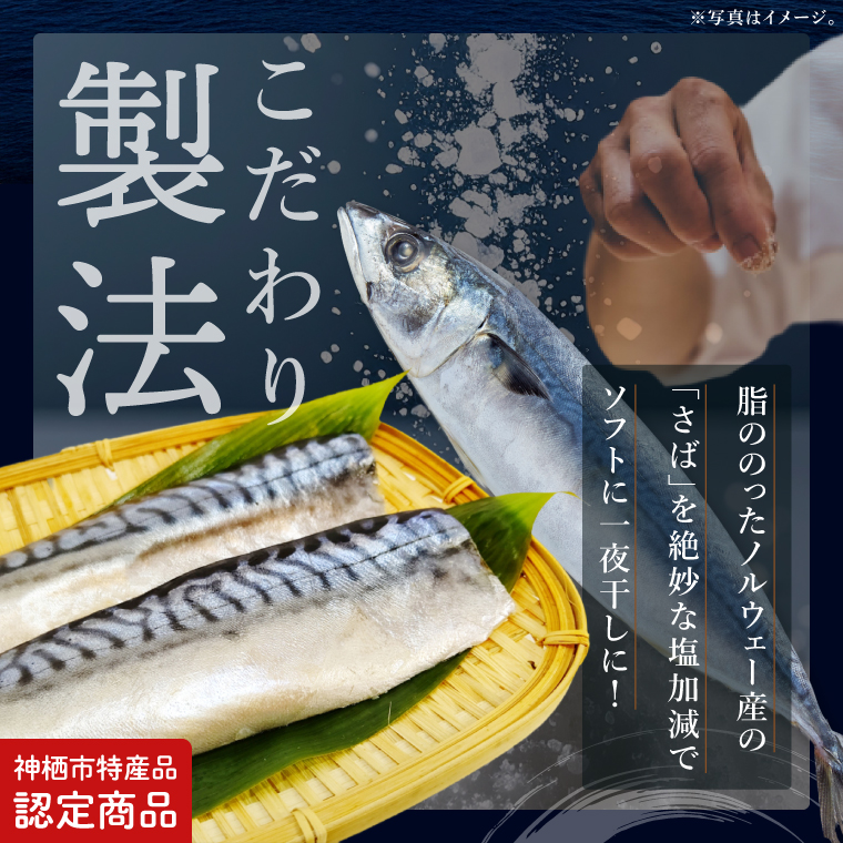 【3ヶ月定期便】【茨城県共通返礼品/神栖市】大トロさば文化干し 6パック｜一夜干し 飽和脂肪酸 EPA DHA 阿見町 茨城県(48-02)